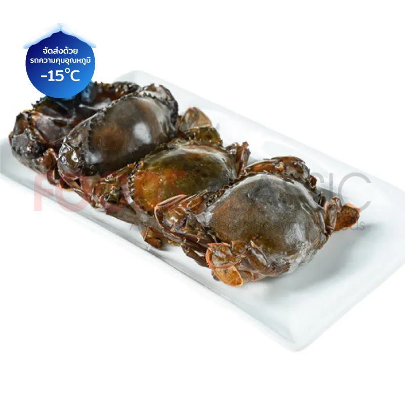 FoodsclassicCR001SOFTSHELLCRABปูนิ่ม(2)