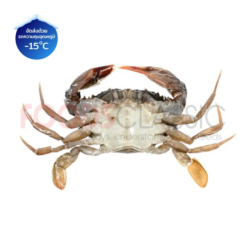 FoodsclassicCR001SOFTSHELLCRABปูนิ่ม(3)