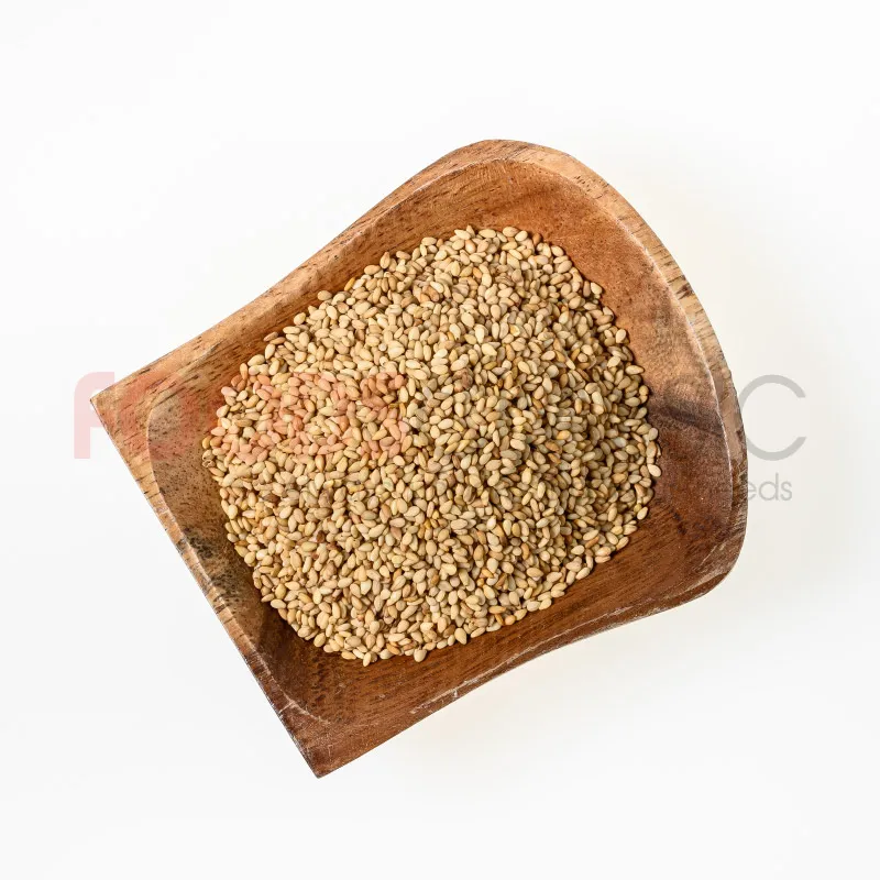 FoodsclassicDOT013ROASTEDSHIROGOMงาขาวคั่ว(3)
