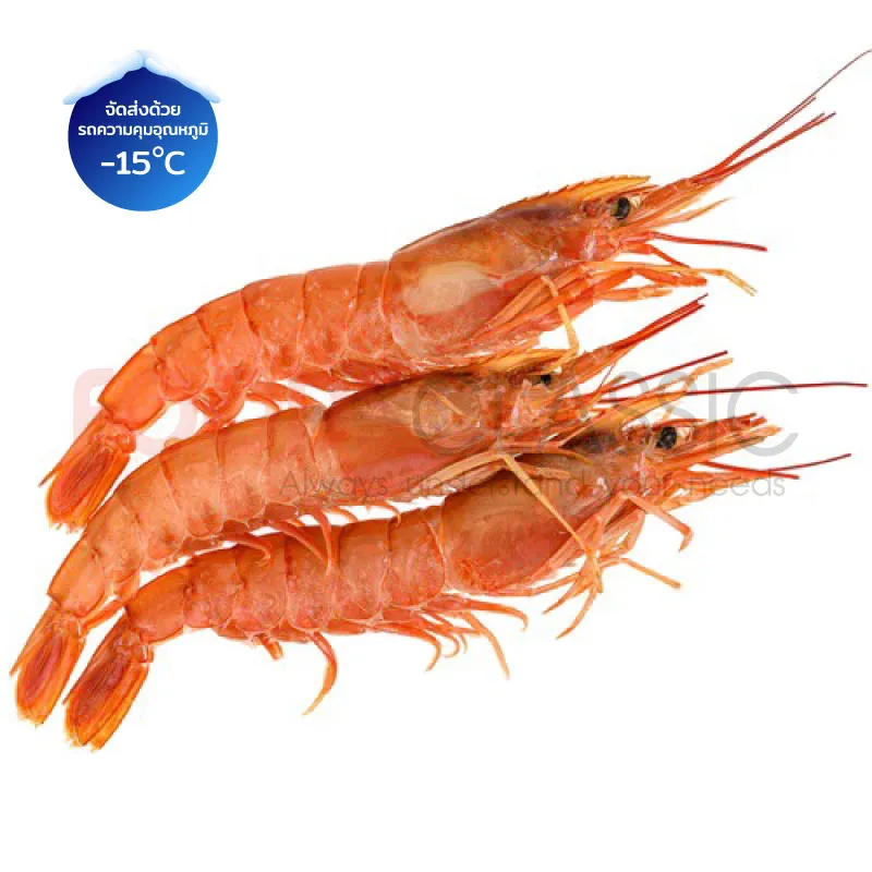 FoodsclassicEB048REDSHRIMPHOSOกุ้งแดงติดหัว(1)