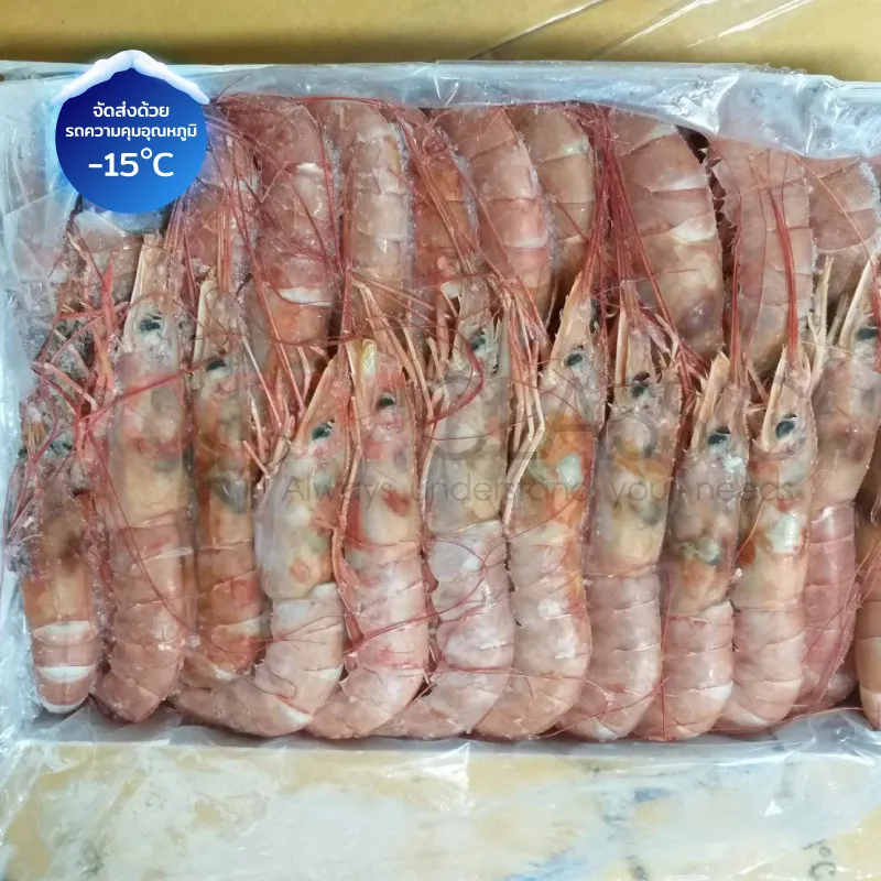 FoodsclassicEB048REDSHRIMPHOSOกุ้งแดงติดหัว(3)
