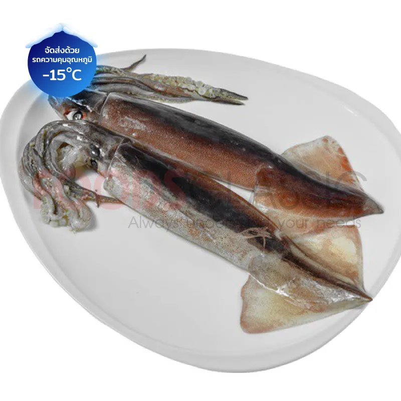 FoodsclassicKK042SURUMEIKAปลาหมึกซูรุเมะ(3)