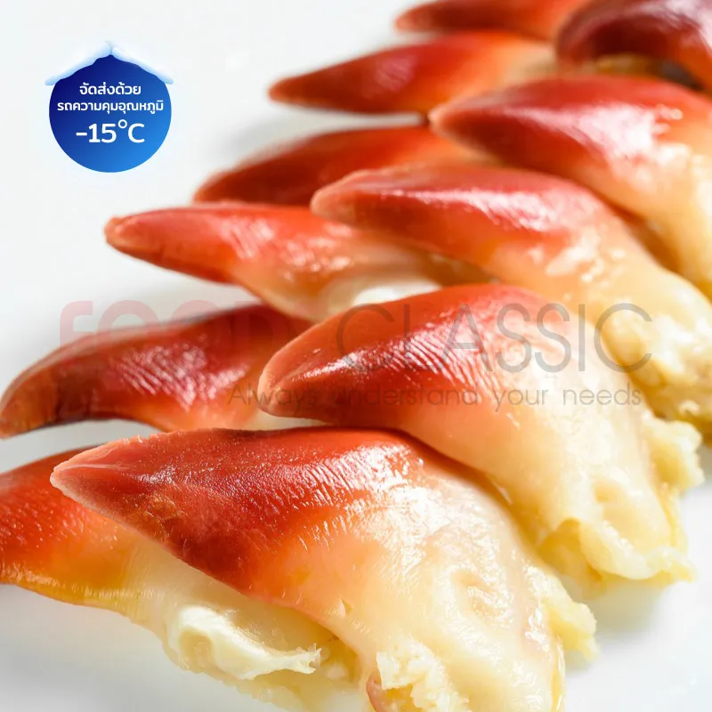 FoodsclassicSH010SURFCLAMหอยปีกนก(CLEARWATERBR)(3)