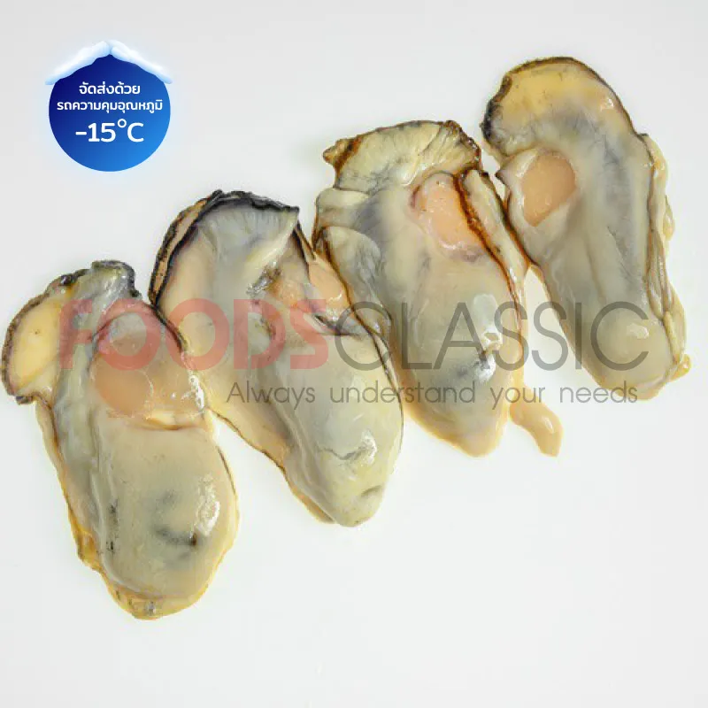 FoodsclassicSH025OYSTERMEATKAKIเนื้อหอยนางรม(L)(3)