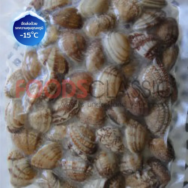 FoodsclassicSH031BOILEDSHELL-ONBABYCLAMหอยลายอาซาริ(L)(2)