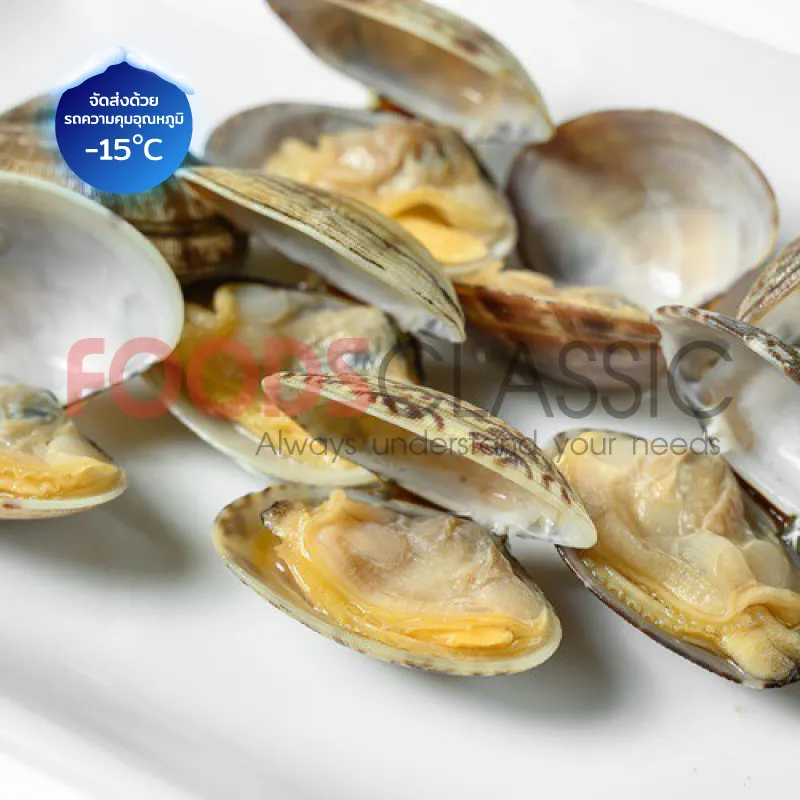 FoodsclassicSH031BOILEDSHELL-ONBABYCLAMหอยลายอาซาริ(L)(3)