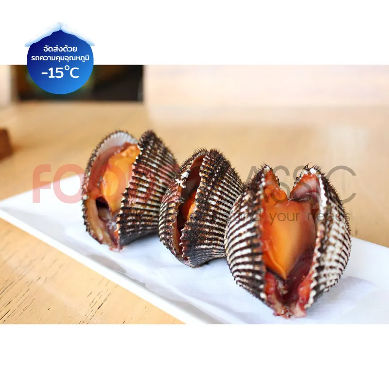FoodsclassicSH032ARKSHELLAKAGAIหอยแครงญี่ปุ่นในถาด(3)
