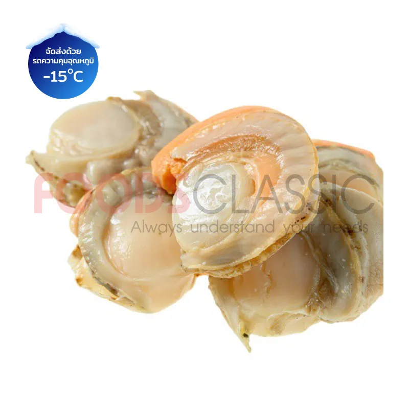 FoodsclassicSH035BOILEDSCALLOPEMEATหอยเชลล์ต้ม(M)(1)