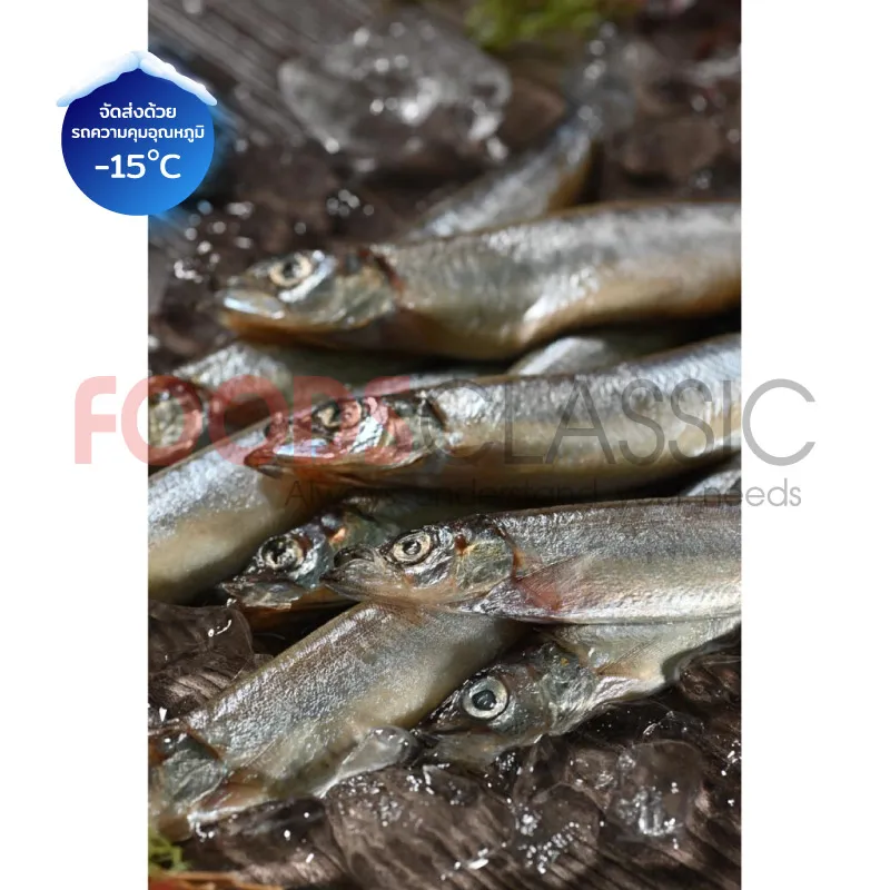 FoodsclassicSK006CAPELINปลาไข่สดแช่เข็ง(3)
