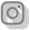 IconSocialIG