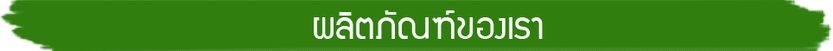 iTopPlus135908807102