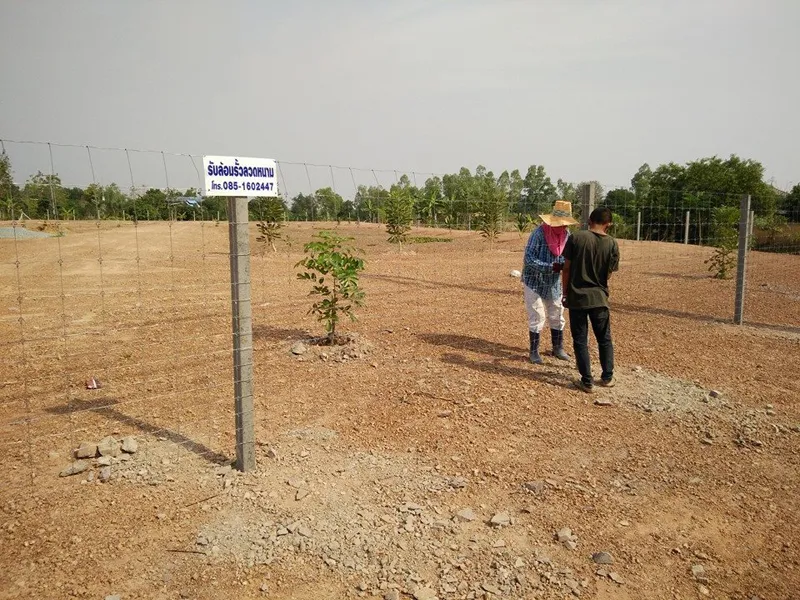 iTopPlus244611962151