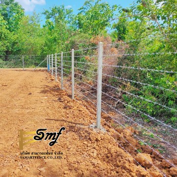 S125584320