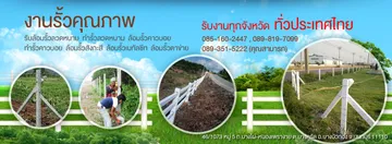 iTopPlus914669184546
