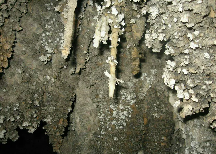 iTopPlus1322416977693