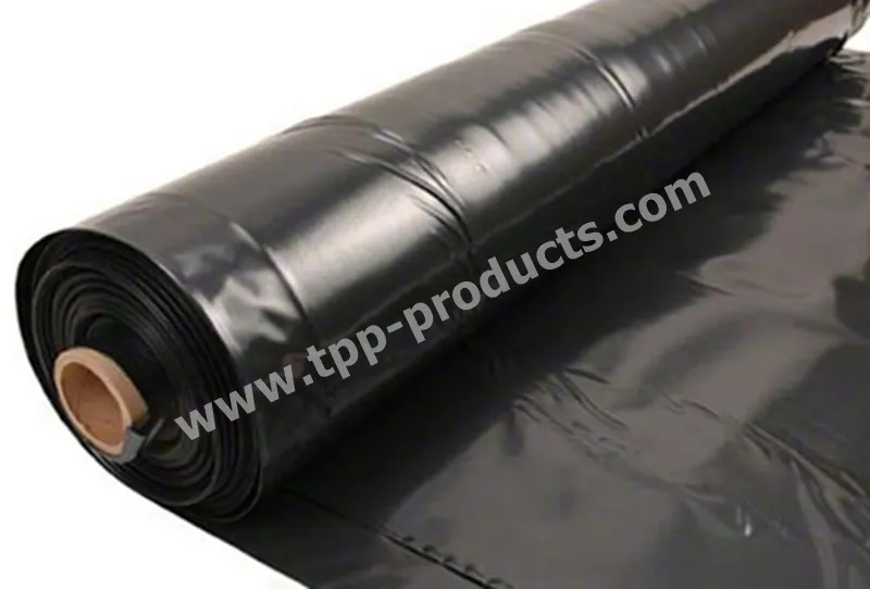 iTopPlus282684942552