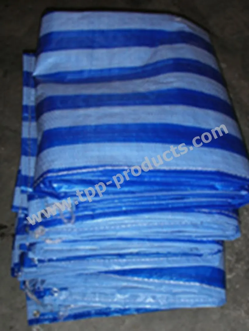 iTopPlus283398683013