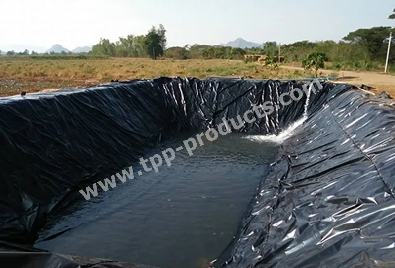 iTopPlus308282929259