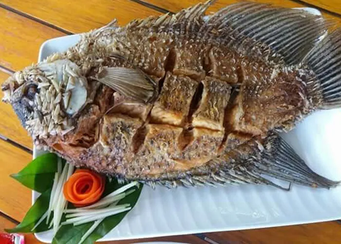 iTopPlus456738901433
