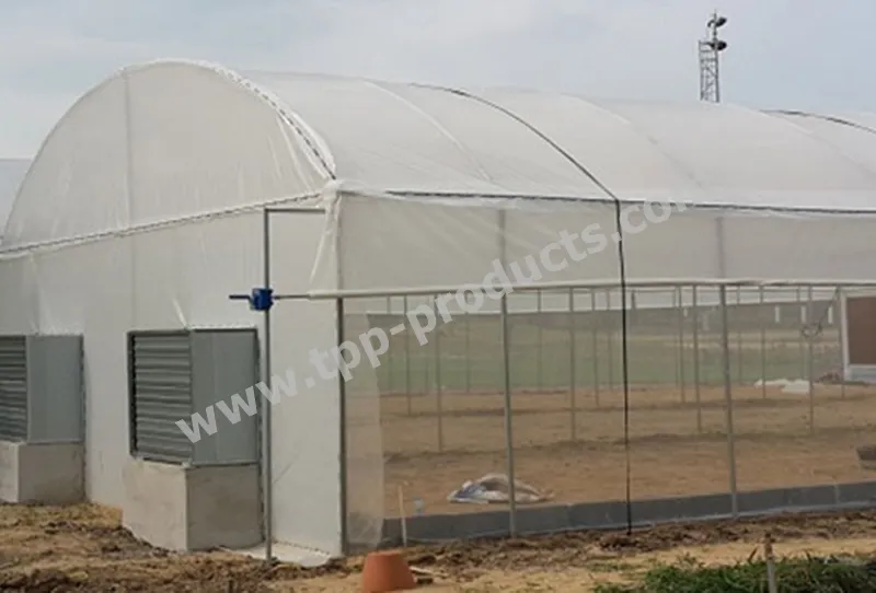 iTopPlus610049928816