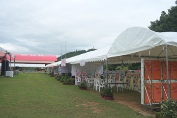 TYS62590