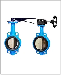 iTopPlus509043642625