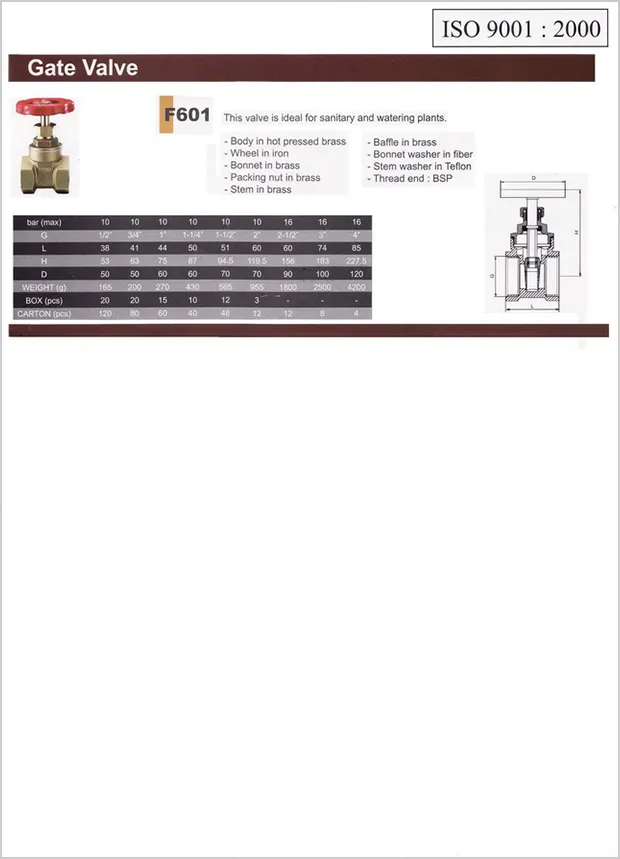 iTopPlus574796251088