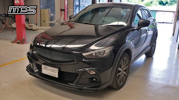 DSF2409