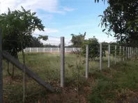iTopPlus247136117935