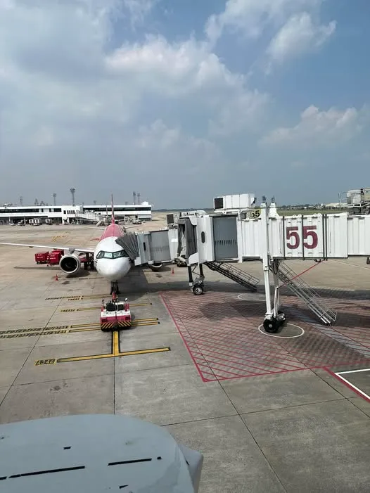 264410587