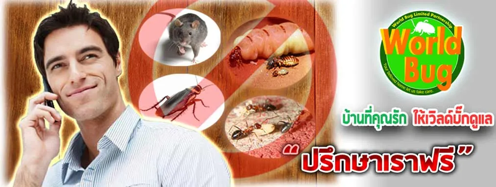 iTopPlus860265571366