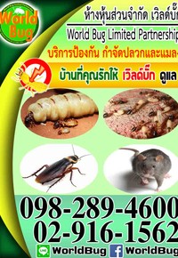 iTopPlus876225046349