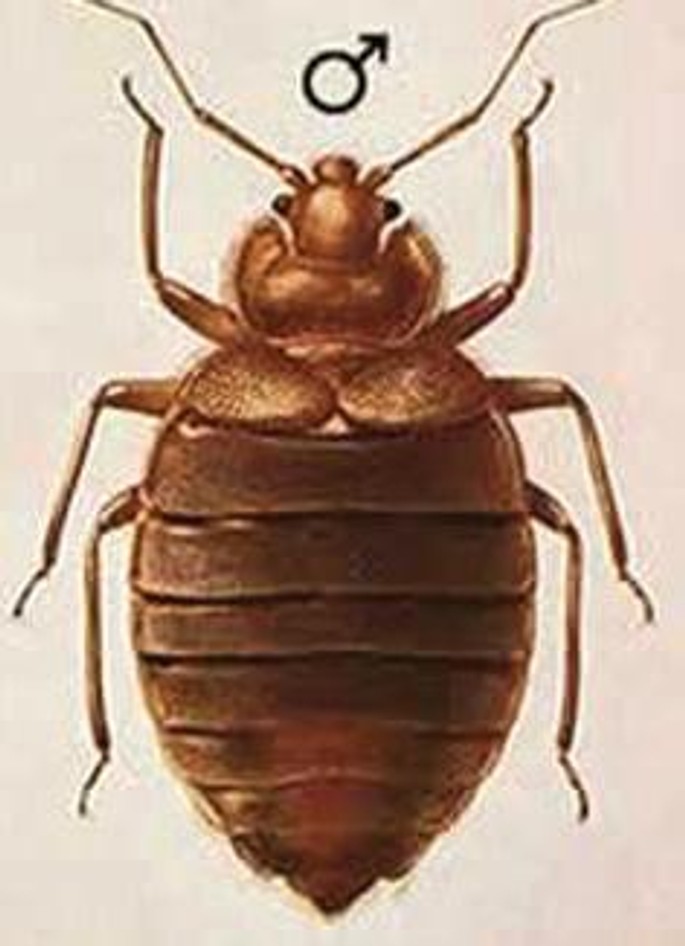 iTopPlus1308233995759