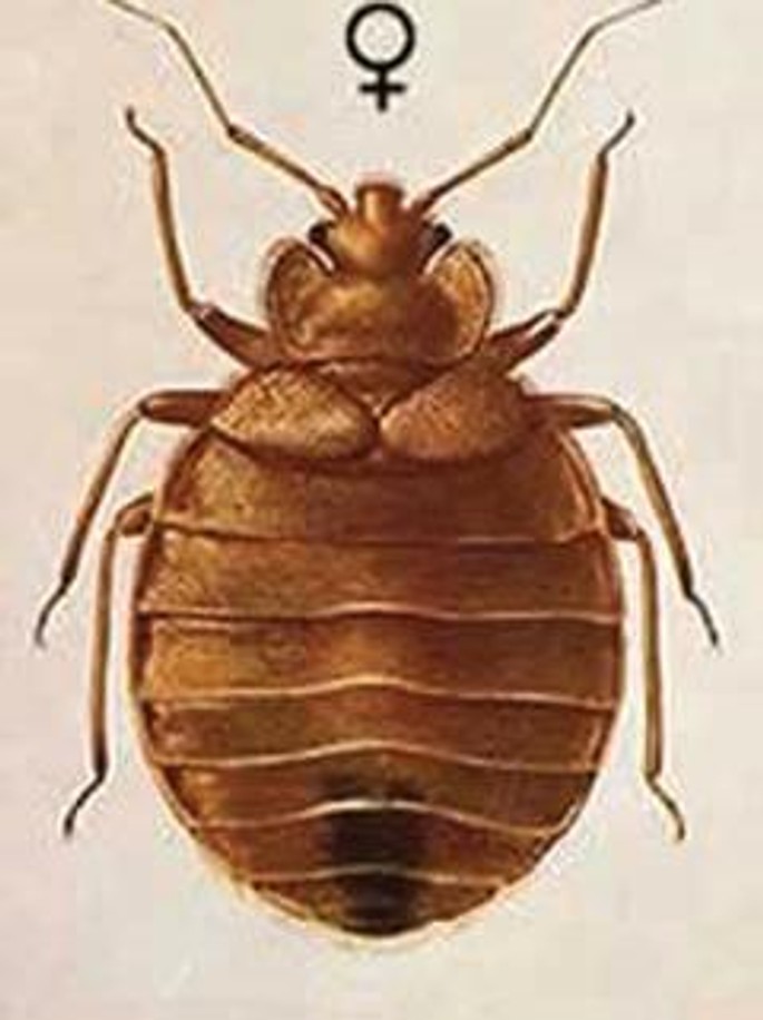iTopPlus756991572760