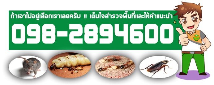 iTopPlus1040905664448