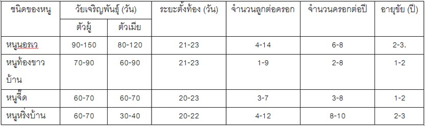 iTopPlus927033221029