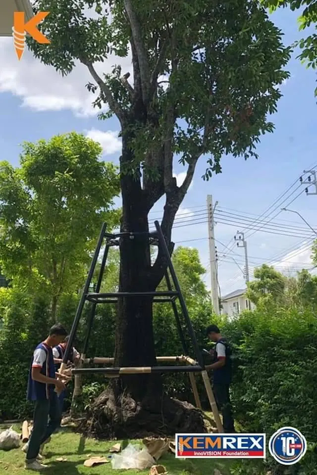 48645
