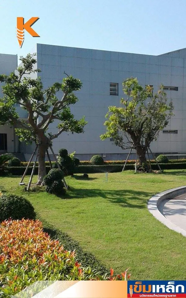 iTopPlus115136880531