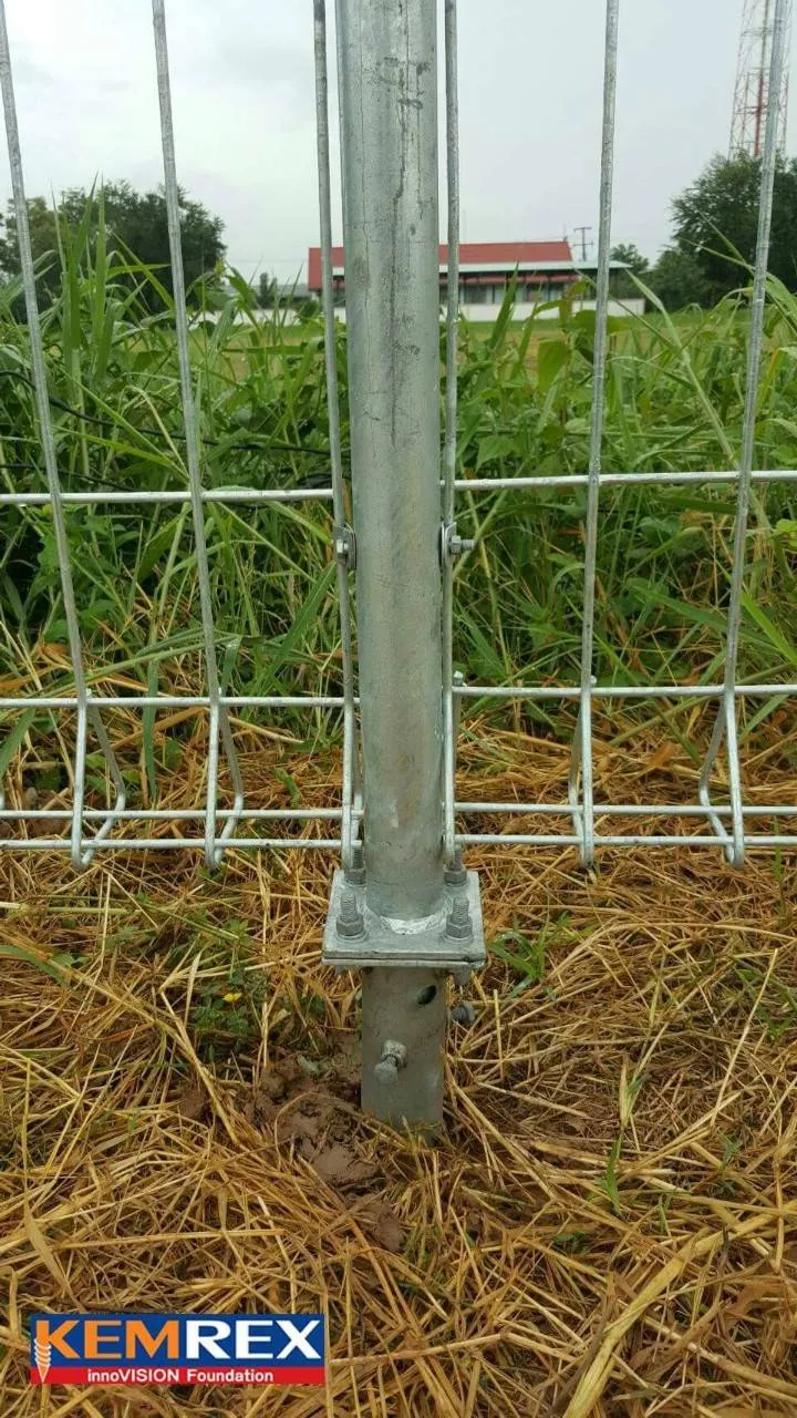 iTopPlus197870609982