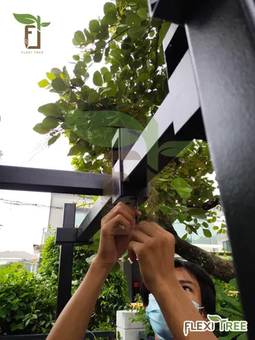 เข็มเหล็กเสาเข็มเหล็กเสาเข็มเกลียวฐานรากต่อเติมค้ำยันต้นไม้ไม้ล้อมไม้มงคลscrewpilefoundationhsbkemrex2