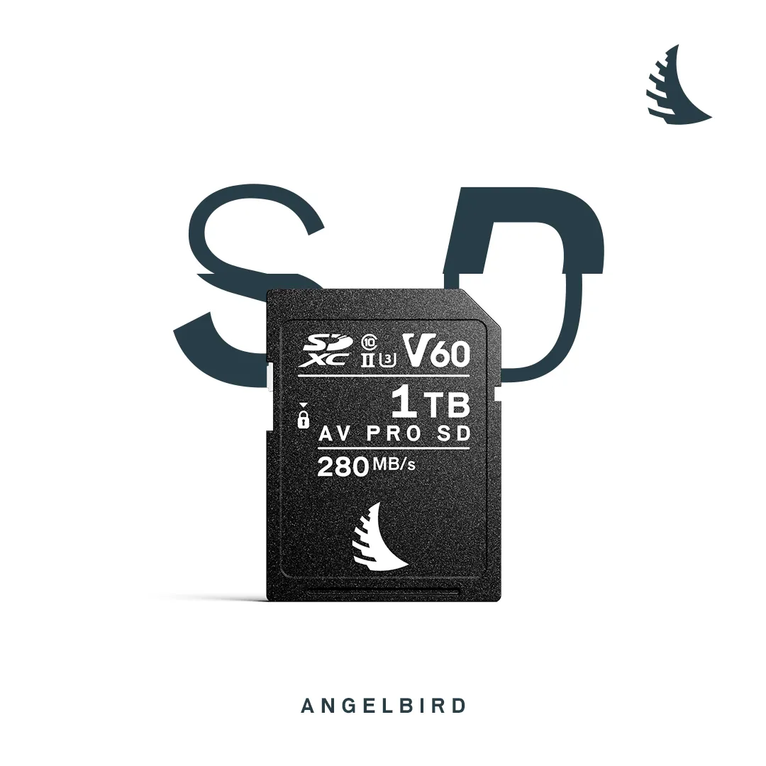 AV PRO SD V60 MK2 1 TB