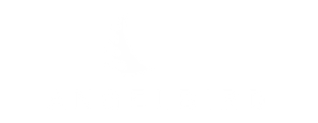 angelbirdlogo