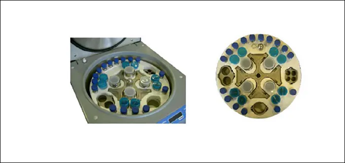 iTopPlus1050527593343