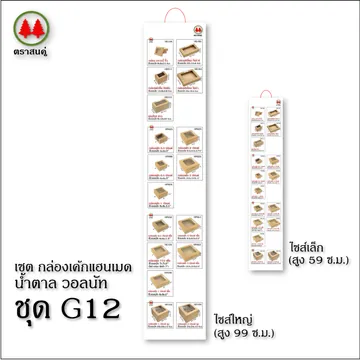 resized(V1)croped(V1)2022315ffBotypegG12parta(V1)