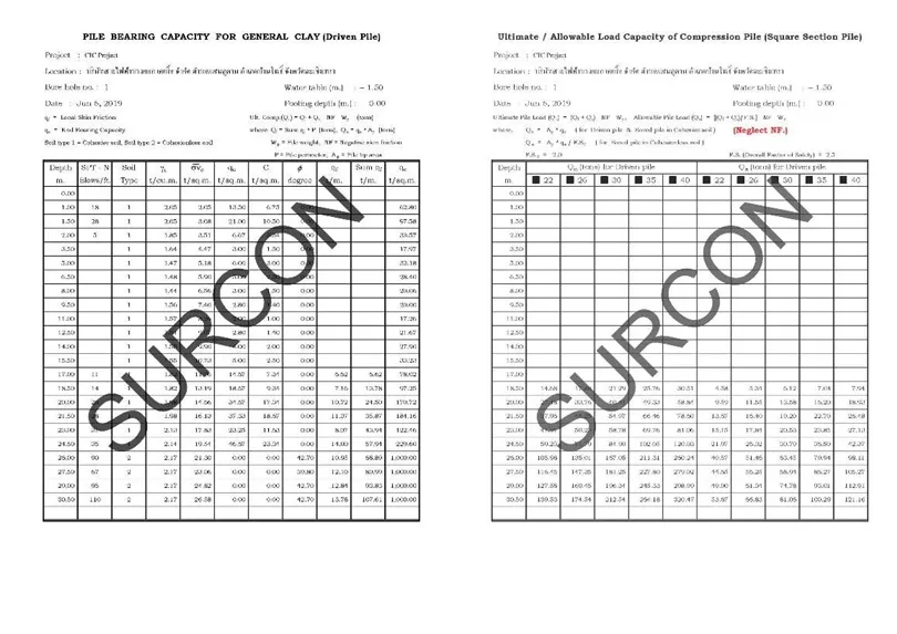 REPORT2