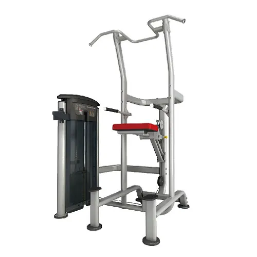 WeightAssistedChinDipCombo