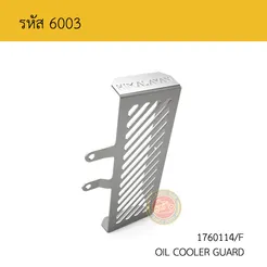 6003
