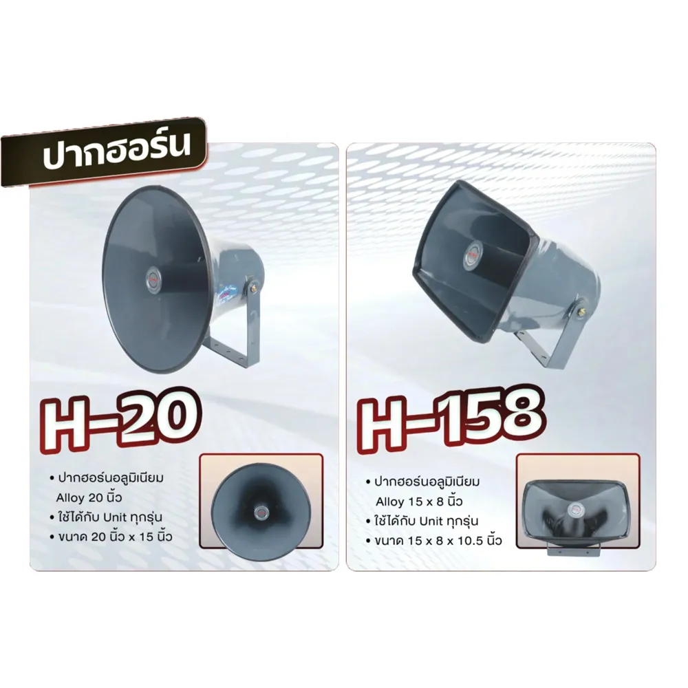 H20