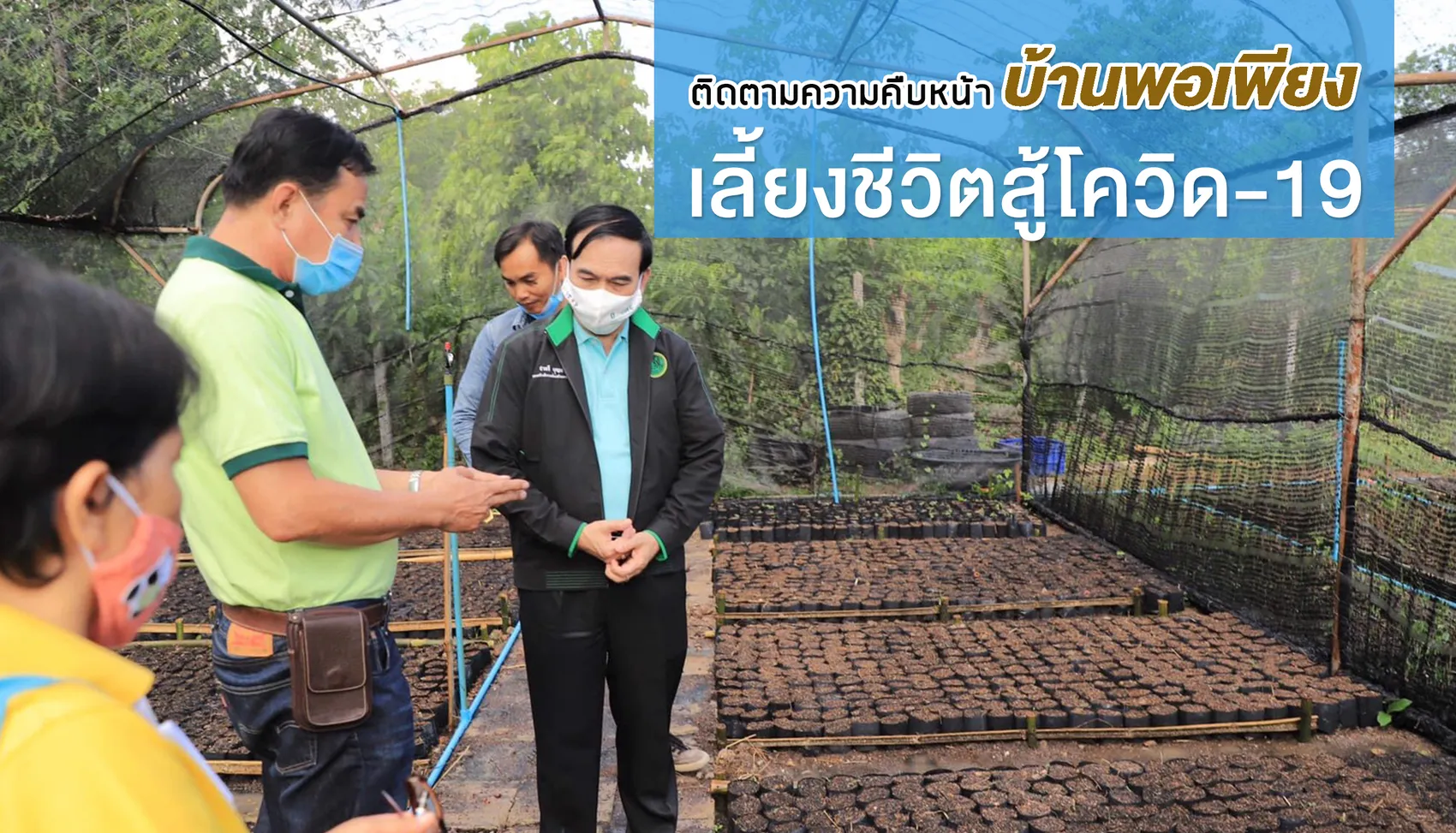 ต ดตามความค บหน า บ านพอเพ ยง เล ยงช ว ตส โคว ด 19