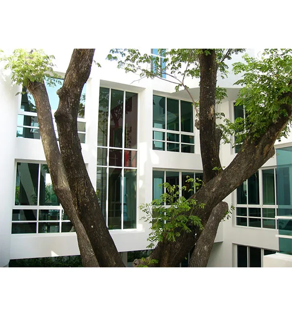iTopPlus802450698531